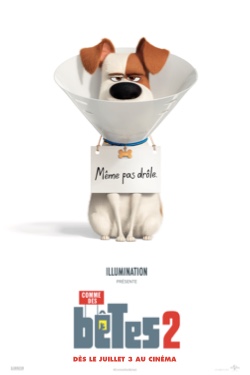 the-secret-life-of-pets-2